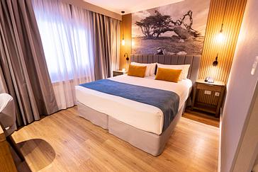 Alto Andino Hotel | Ushuaia | Fotos 177