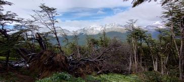 Alto Andino Hotel | Ushuaia | Photos 85