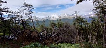 Alto Andino Hotel | Ushuaia | Fotos 84