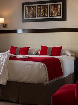 Alto Andino Hotel | Ushuaia | Reserva tu habitación 
